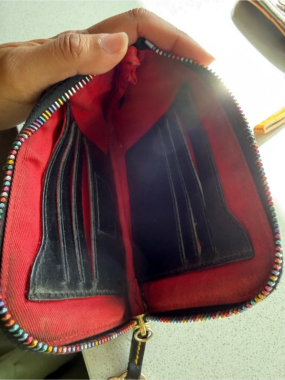 Vintage Dooney & Bourke Brown Multicolor Graphic Wristlet Duo
